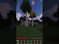 SURVIVAL CON LA MIA RAGAZZA