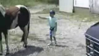 Caballo Golpea A Niño Caballo Golpea A Niño