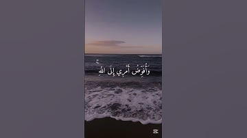 اكتب شئ تؤجر عليه♥️ #تلاوة_هادئة #مشاري_العفاسي