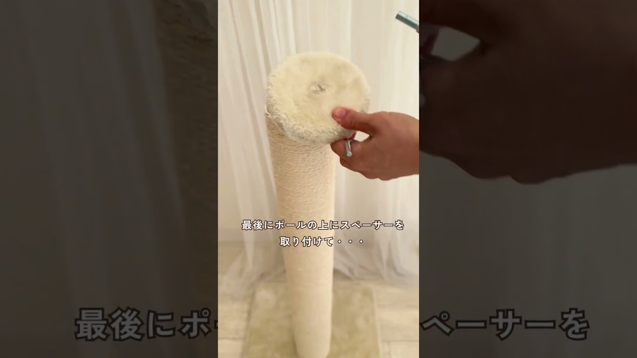 爪とぎ用ポールを上下を入れ替えて使えたら…」 #shorts #猫 #キャット
