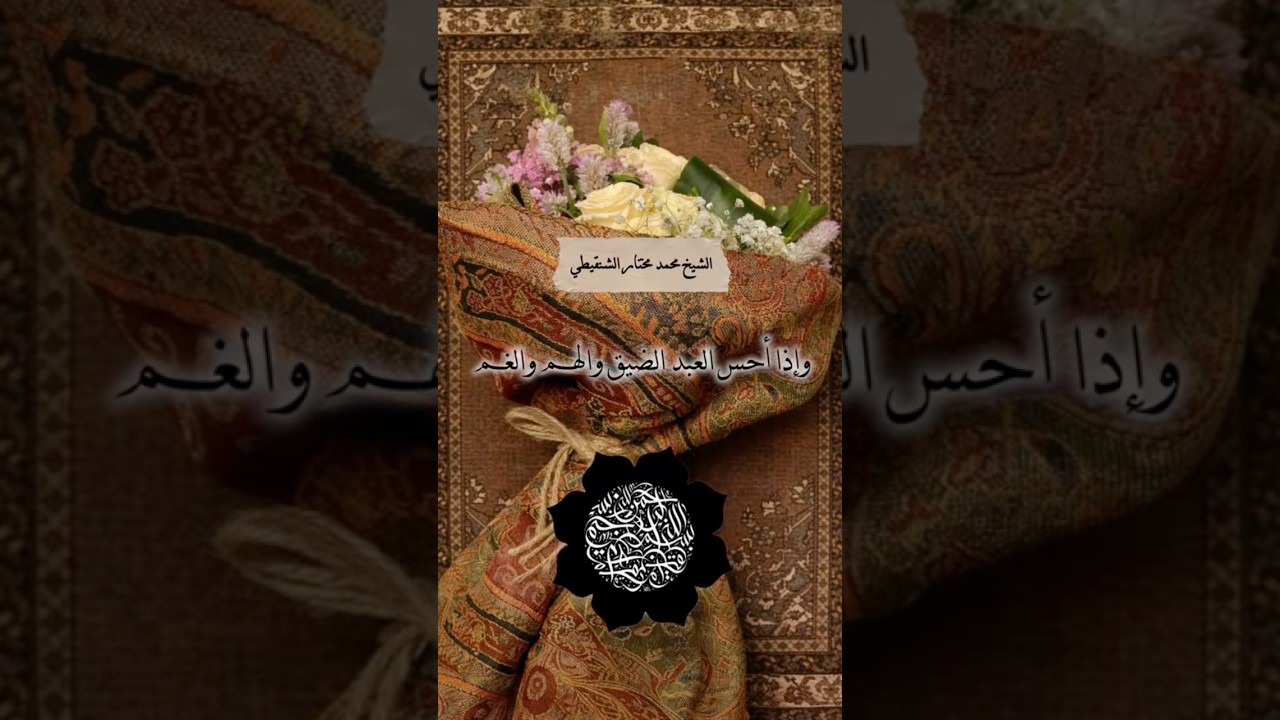الاستغفار  | الشيخ محمد مختار الشنقيطي