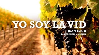 'Yo Soy La Vid' Juan 15:18 Ps. Sugel Michelén