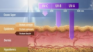 Non-Melanoma Skin Cancer