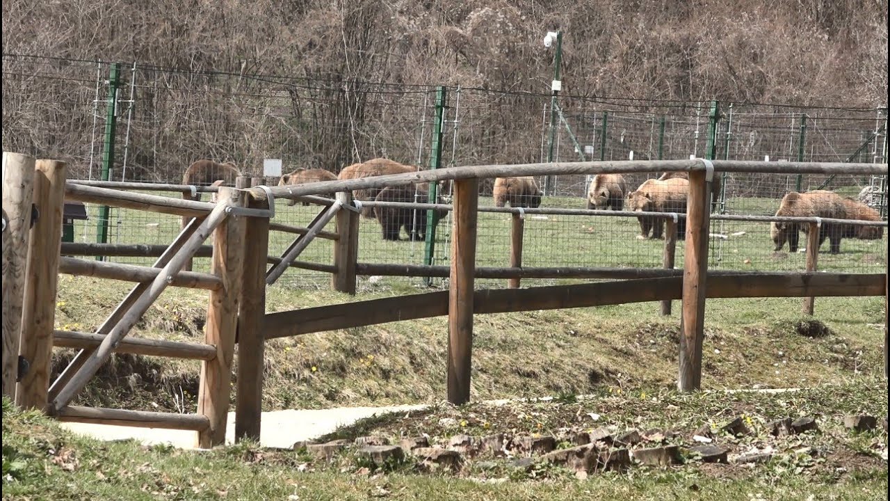 FILM „Sanctuarul Libearty” din Zărnești județul Brașov