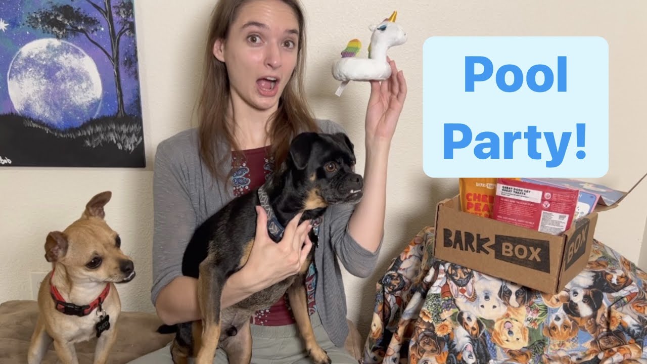 BarkBox Unboxing / July 2022