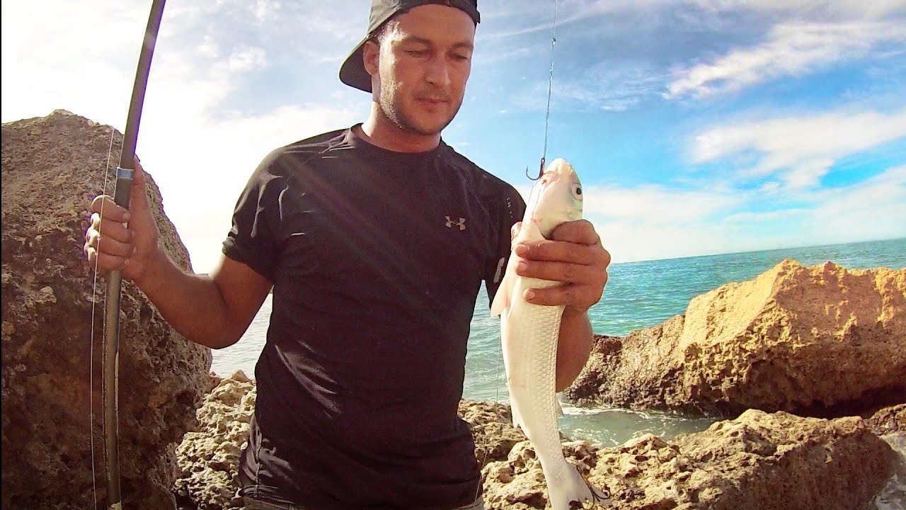 أسهل طريقة صيد سمك البوري بدون طعم فعالة ومضمونة 💯💯+المونطاج القاتل😍🎣#ZouhirPÊCHE