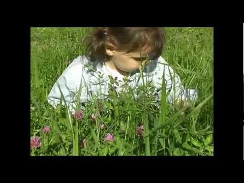 pirimze. \"პირიმზე\". კლიპი.