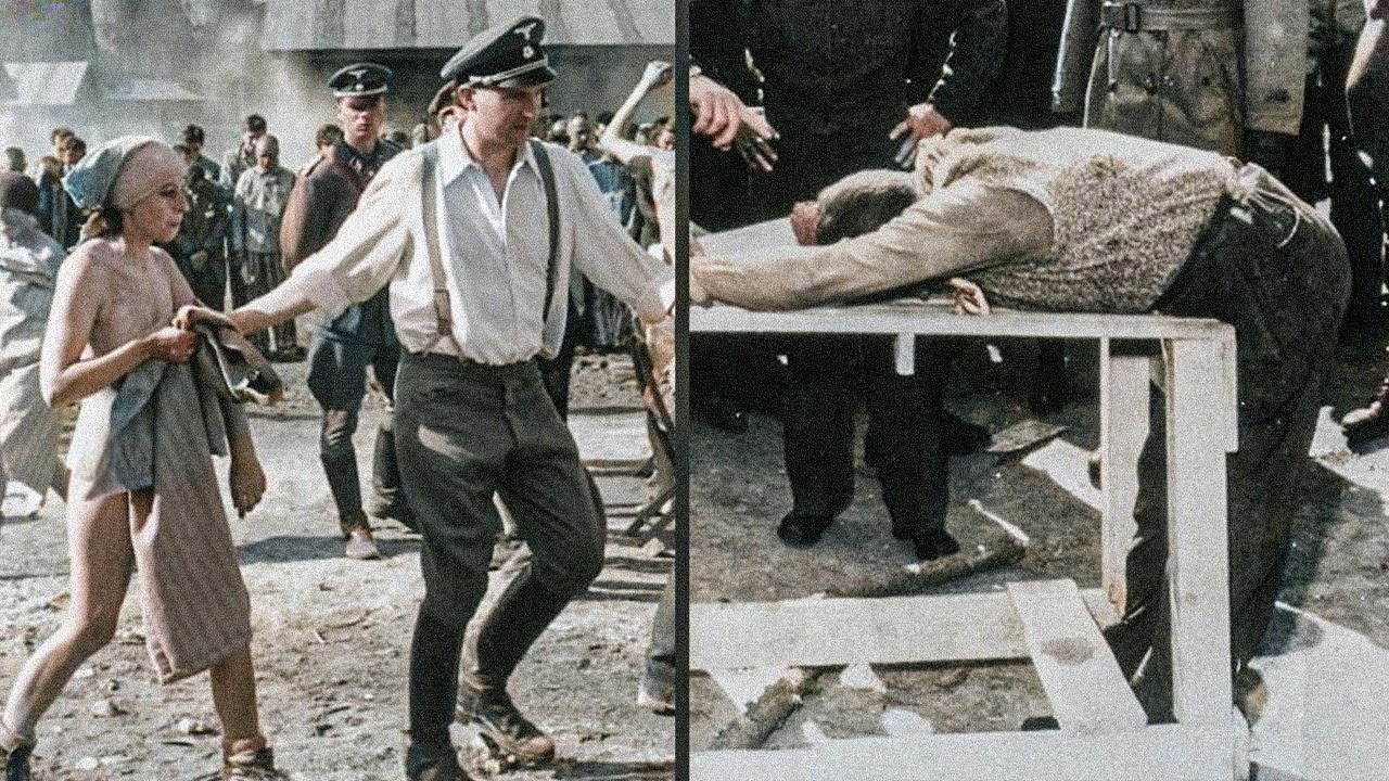 Auschwitz: Exposing the Darkest Horrors in Human History