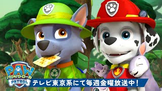 パウパトロール パウパトロールわくわく自然レスキュー特集 120分 テレビ東京系にて放送中