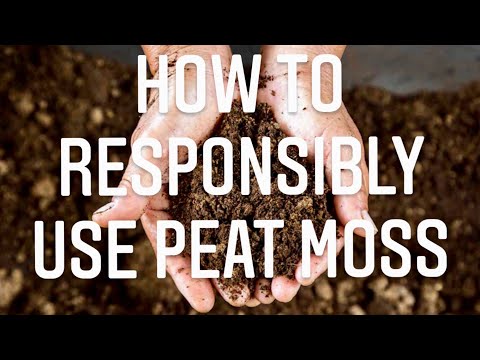 IS PEAT MOSS A SUSTAINABLE PRODUCT? WHY IS PEAT THE STANDARD IN POTTING SOIL? | Gardening in Canada