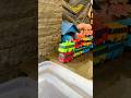 Tayo the Little Bus #toys #tayo #shorts