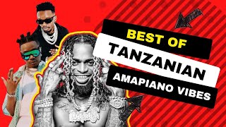 BEST OF TANZANIAN AMAPIANO MIX 2023 - DJ VORTEX 254