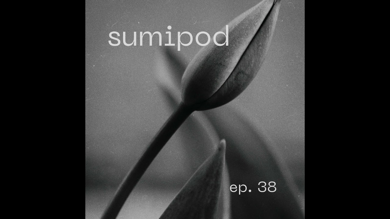 38 | Kurtarıcı Olarak Dil