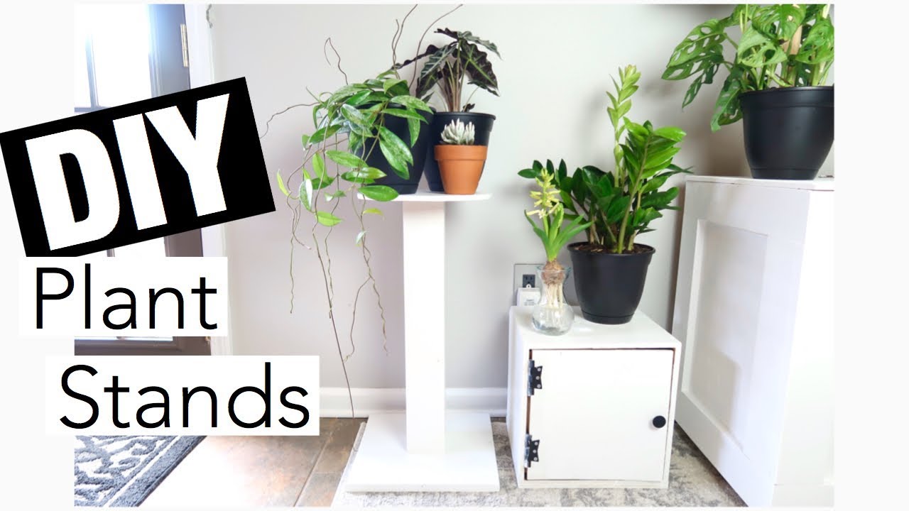 DIY Plant Stands & Cabinet *BEGINNER BUILD!*