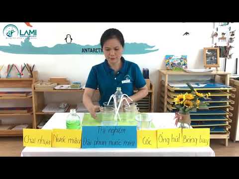Video Lami - Thí nghiệm 
