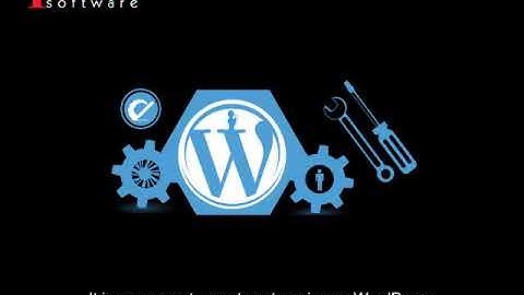 Hire Wordpress Developers