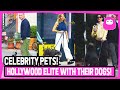 Celebs Looking Like Normal People Walking Their Dogs