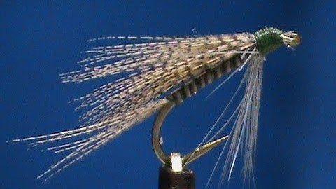 Beginner Fly Tying a Quill Gordon Wet with Jim Misiura
