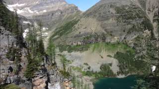 Mikaylas Wildlife Movie