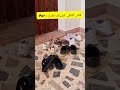 فاش ماتجي وتلقى الضياف Explore ضحك اهميه Foryou Comedy ولده Reels اكسبلور اعتني 