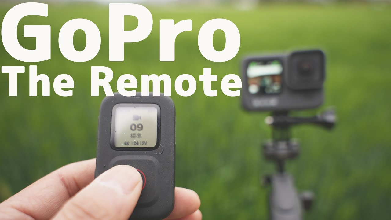 GoPro HERO9 REMOTE