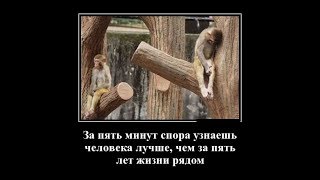 супер демотиваторы, картинки приколы, веселые демотиваторы. супер демотиваторы, картинки приколы, веселые демотиваторы.