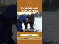 ザ・山男の娘になると毎日がこういう生活