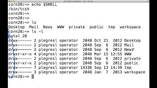 Interacting with the Linux Shell