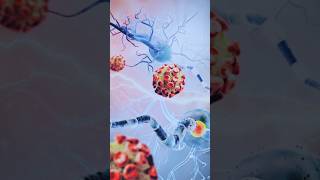 Jajanan Jadoel Kaya Nutrisi Dan Manfaat  berbagitips tipssehat