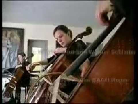 The Polyphonic Cello: Die 12 Cellisten Tbingen