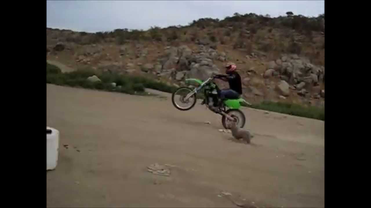 Dirtbike wheelie crash, motorcycle crash YouTube