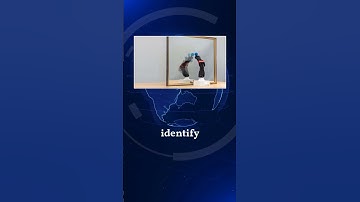 Robot Learns SelfAwareness Through MirrorLike Reflection
