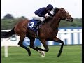 Galileo - Irish Derby (2001)