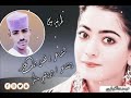 جديد الشاعر فضل الله علي الكباشي