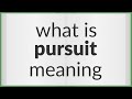 Pursuit  meaning of pursuit