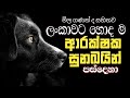 Best Guard  Dogs For Sri Lanka | Top 5 Dogs Price | Most Popular Dog Breeds In Sri Lanka