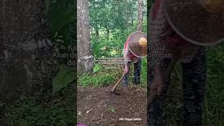 Download Lagu Sehat-sehat yaa nenek nya Ken.. ☺ #manjaddawajada #quotes #bertanam #kehidupandidesa MP3