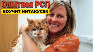 Опытная РСП даёт уроки будущим разведёнкам