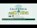 California Forest News: Episode 9 Incident Management Teams