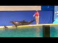 浅虫水族館 の動画、YouTube動画。