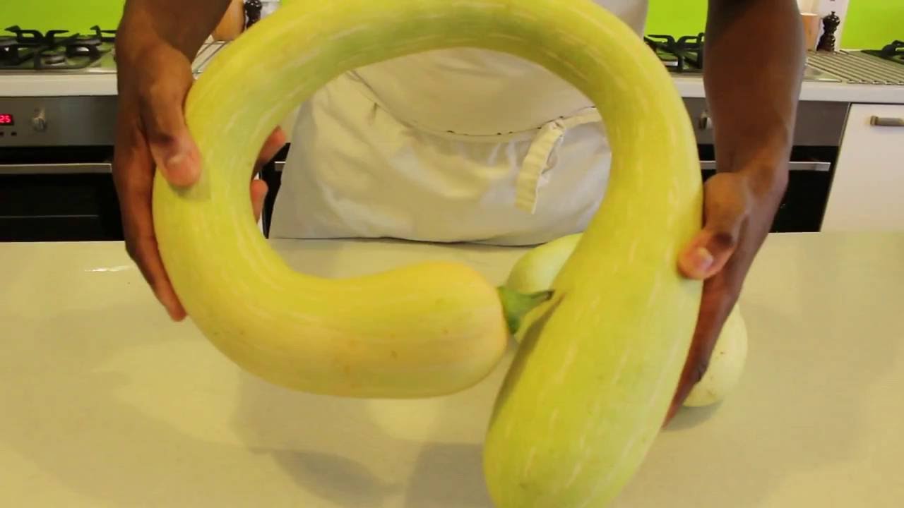Trombone Courgette YouTube