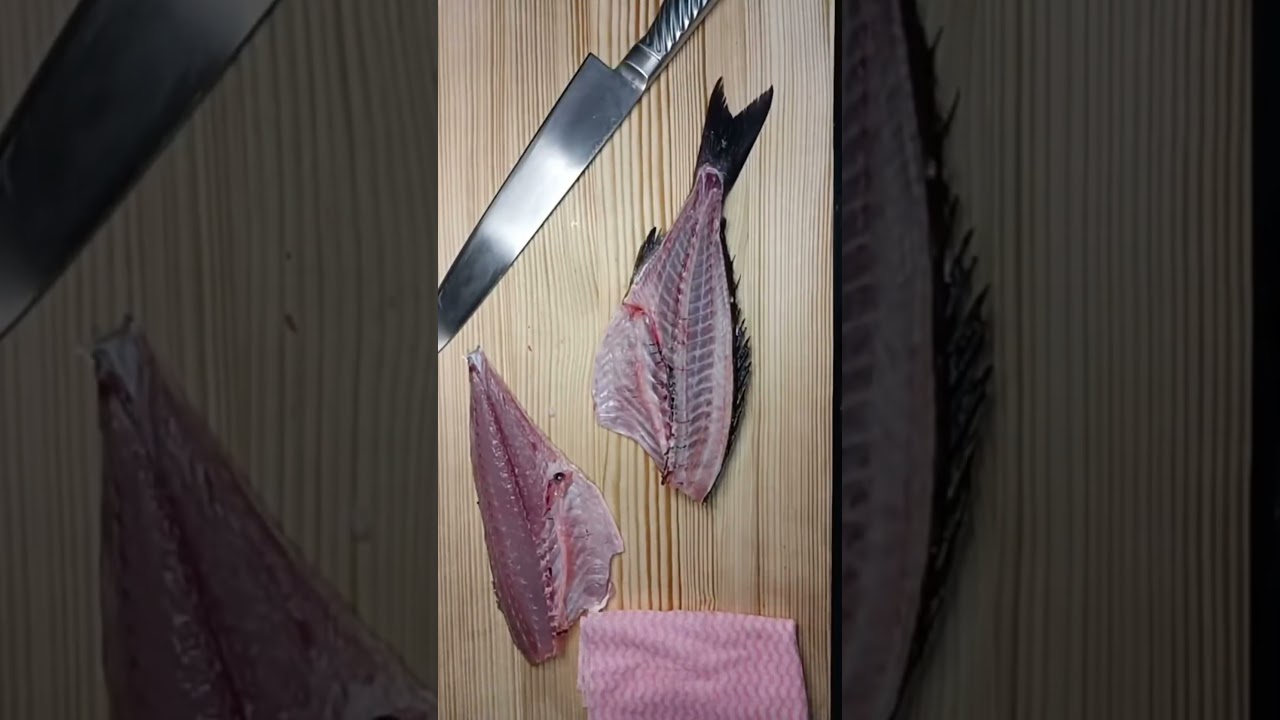 いさきのさばき方です!イサキは今が旬です!太っていて美味しくなってます!ここからさらに脂がのっていく感じです!伊佐木は大きくて黒くて丸っこいものを選びましょう!皮も美味しいので皮ごと食べるのがおすすめ