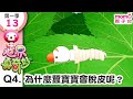 世界真奇妙S1 13 Q4 為什麼蠶寶寶會脫皮呢 為什麼 為甚麼 WHY 孩子的疑問 Q A 學習新知長知識 教育問答 第一季 第13集 題目04 親子台 官方HD短版 Momokids 世界真奇妙S1 13 Q4 為什麼蠶寶寶會脫皮呢 為什麼 為甚麼 WHY 孩子的疑問 Q A 學習新知長知識 教育問答 第一季 第13集 題目04 親子台 官方HD短版 Momokids