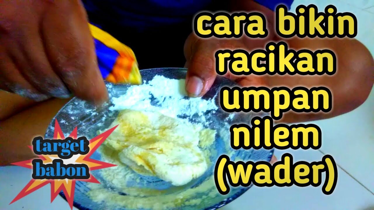 cara bikin racikan umpan nilem(wader) .1 