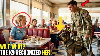 The Disabled Navy SEAL Was Refused a Seat — Until His K9 Recognized the Waitress’s Secret Past