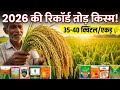 5 Top Yielding Paddy Varieties For 2026 Up To 40 Quintals Production Best Paddy Variety 