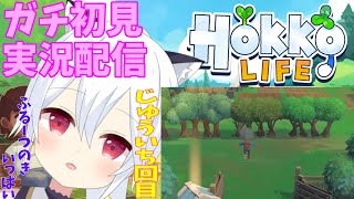 【Hokko Life】#11　今日も依頼と農作物をしつつ、お買い物したりお金稼ぎしたり。いつも通りっすね。【vtuber】【ボイチェン】