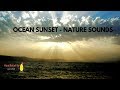 Amazing Ocean Sunset over Cliffs w/ Sounds of Nature - Calm Waves, Calm Clouds, Birds