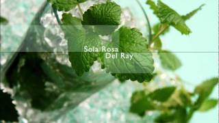 Sola Rosa - Del Ray (instrumental version)