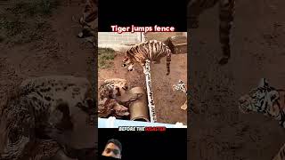 funnyanimal#shortsfeed#trending#ytsvideo#wildanimal#viral shorts